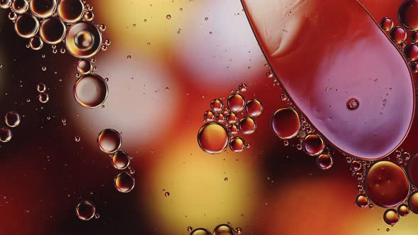 Abstract Colorful Food Oil Drops Bubbles 196 alt
