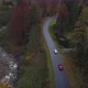 Drone Chasing Two Oldtimers Driving Through A Forest In Switzerland - VideoHive Item for Sale