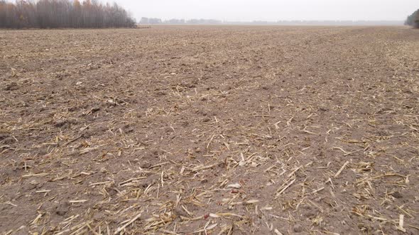 Empty Plowed Field in Autumn Aerial View