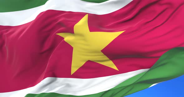 Flag of Suriname Waving