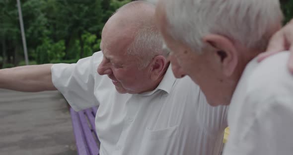 Two Seniors Men Rejoice During a Meet on Park Bench They Embrace and Greet