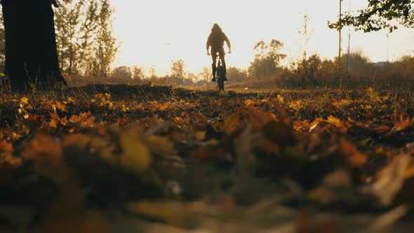 Man in Hood Riding Bicycle Through Autumn Forest at Sunset Background