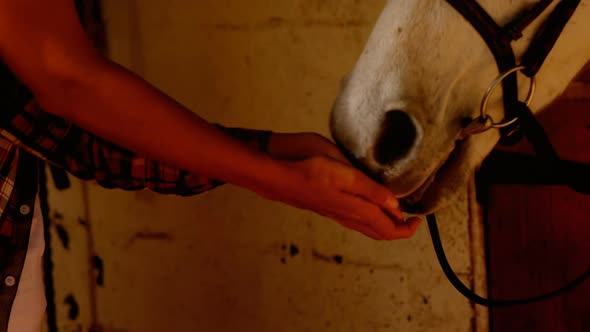 Mother and daughter feeding a horse 4k