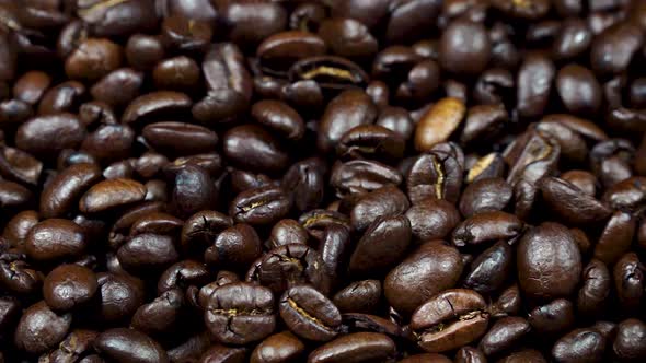 Close Up of Coffee Beans Truck Shot