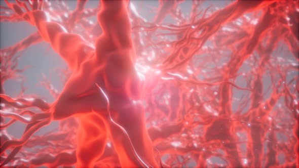 Journey Through a Neuron Cell Network Inside the Brain alt