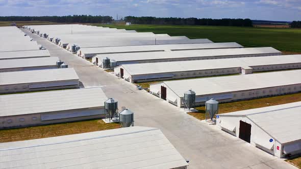 Storehouses in rural area. Warehouses for poultry growing. Countryside industry. 