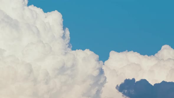 Timelapse of White Puffy Cumulus Clouds Forming on Summer Blue Sky