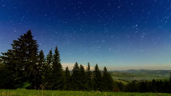 Beautiful Footage of Hillside of Mountain Range with Coniferous Forest and Meadow Path at Night in