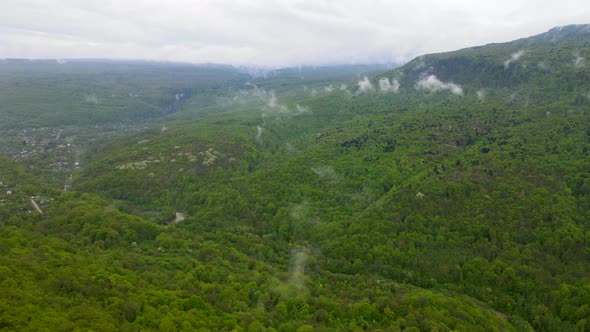 Forest, mountains and clouds