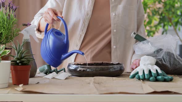 Woman Planting Pot Flowers at Home