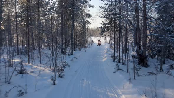 Aerial view of a snowmobile riding across the forest, Overtornea, Sweden.