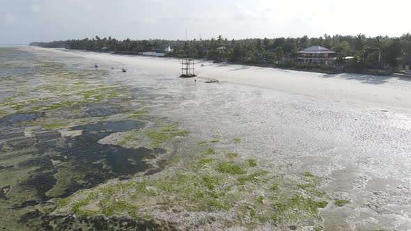 Shore of Zanzibar Island Tanzania at Low Tide Slow Motion