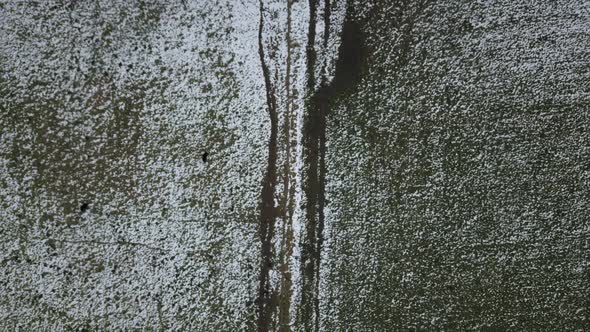 Snow on a Farmland in Wintertime Aerial Drone Shot