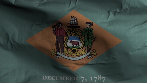 Delaware State Flag 4K