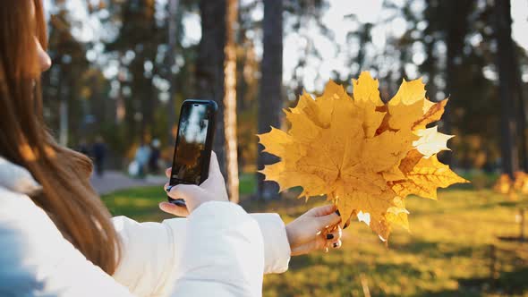 Young Lady Photographing Golden Maple Bouquet on Smartphone Walking in Autumn Park Close Up