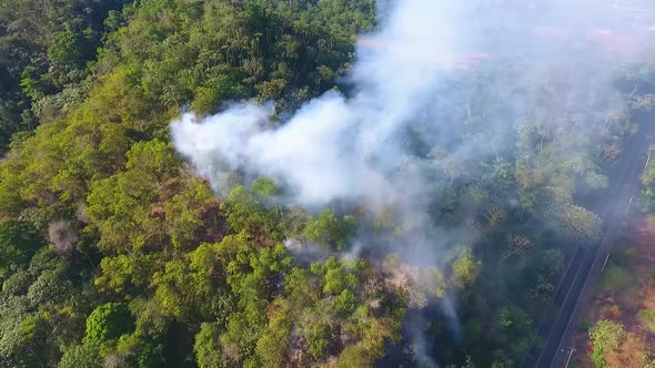 Aerial view of a forest fire near a road, danger for cars and traffic - pull back, drone shot