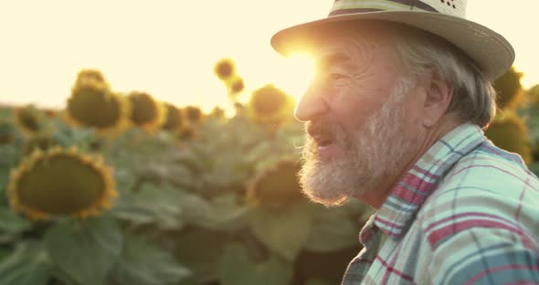 Portrait of Senior Farmer Looking Thoughtfully on Sunflower Field at Sunset