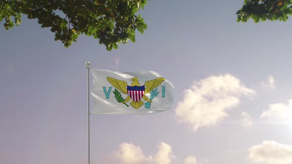 Virgin Islands US Flag With  Modern City 