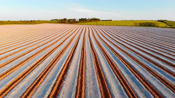 Furrows row pattern in a plowed field 4k