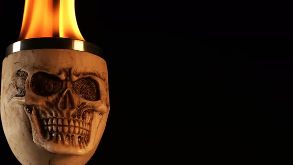 Fire On Skull Head  3 alt