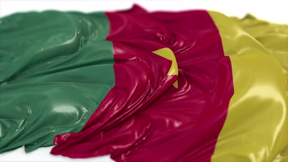 Cameroon Flag On A White Floor  alt