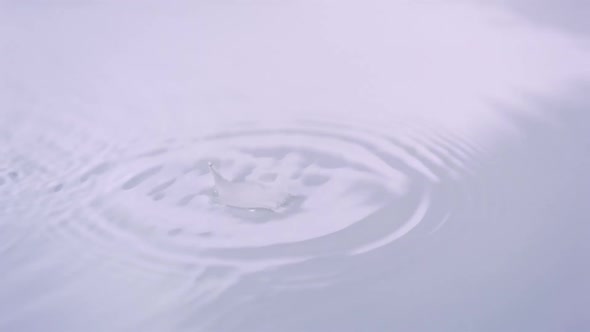 White petal in water, Slow Motion