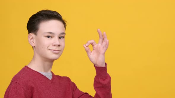 Teen Boy Gesturing Okay Sign Smiling Posing Over Yellow Background