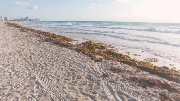 Miami Sobe Stabilized Shot Walking South Beach, Turning Towards Atlantic Ocean Waves