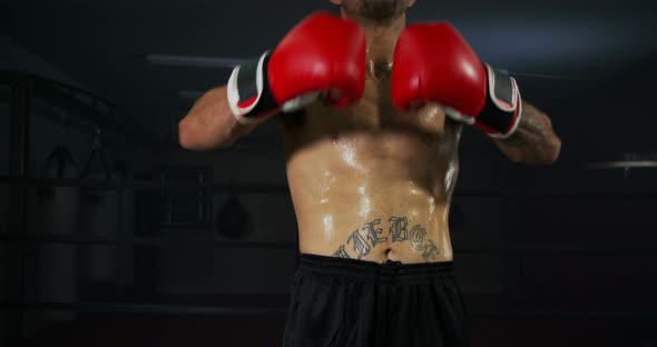 Boxer In Ring Ready To Fight