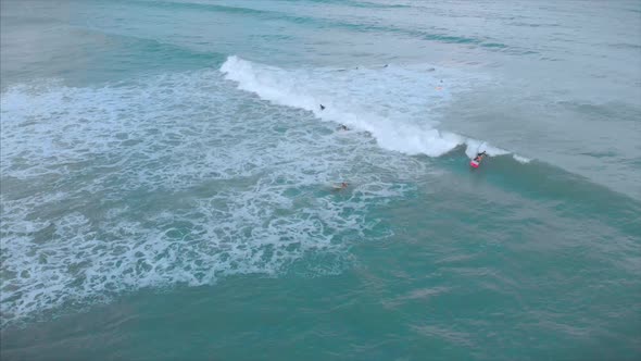 Aerial View From Above Athletic Young Women and Men Surf, Ride Big Waves with Bright Daylight