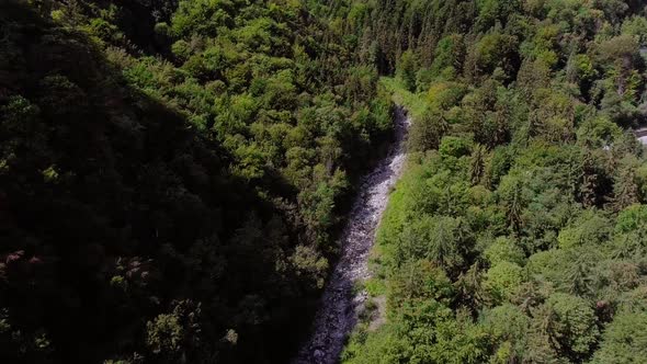 Flight over a stream in middle of the forest