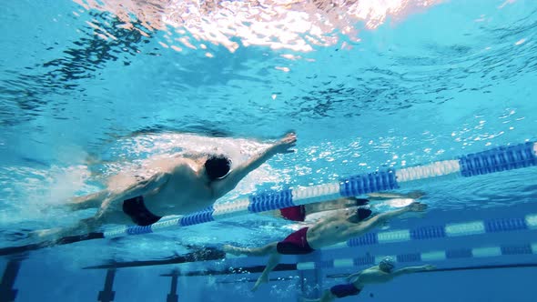 Athletes Swim on Their Backs in an Underwater View