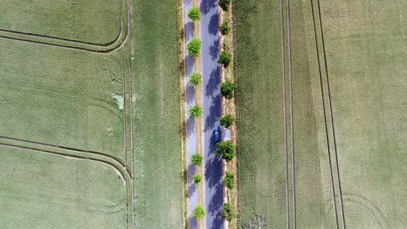 Car drives from down to up country road avenue with trees.Gorgeous aerial view flight bird's eye vi