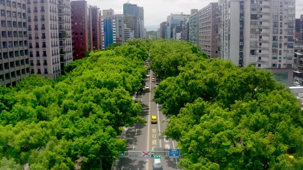 Aerial flyover dunhua Avenue with green trees surrounded by housing area buildings in Taipei City du