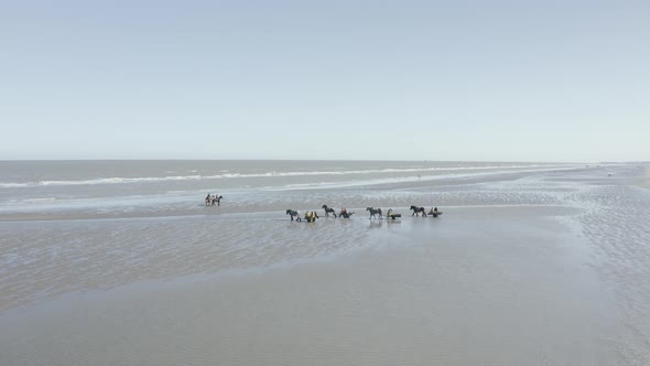 Aerial view of persons riding a horse, Vlaanderen, Belgium.