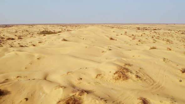 Desert Boundless Scenery with Plants Scorched By Sun