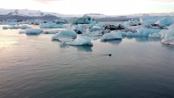 Iceland, Jokulsarlon lagoon, Beautiful cold landscape picture of icelandic glacier lagoon bay,