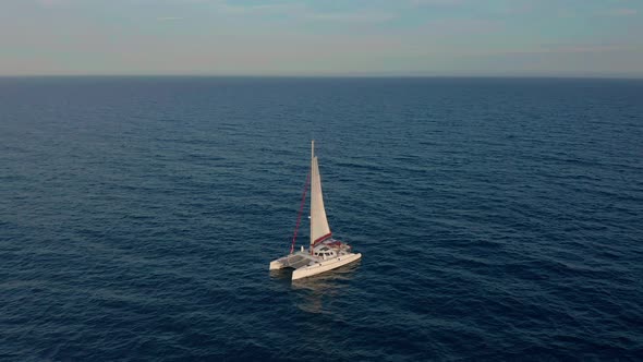 Catamaran Sailing on the Sea. Aerial Shoot of the Catamaran Sailing in the Wind