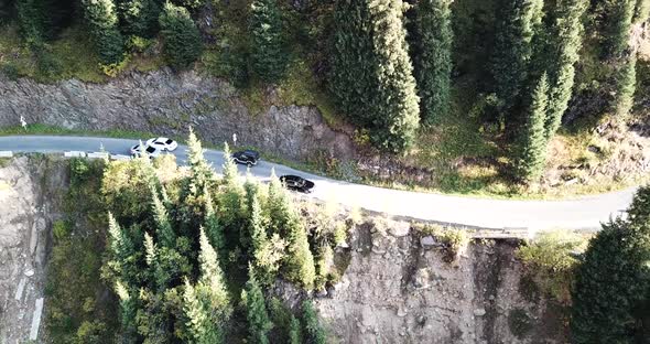 The Car Is Driving on a Road in the Forest