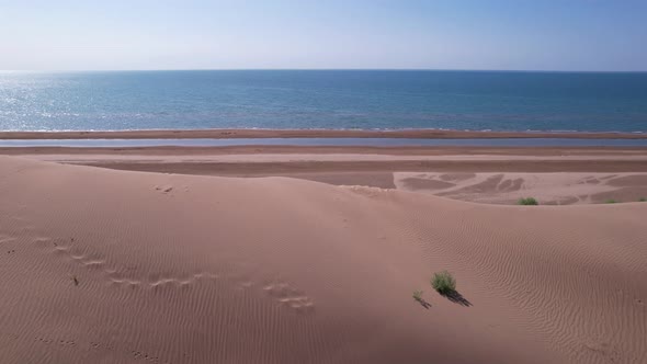 A High Sand Dune on the Ocean Shore