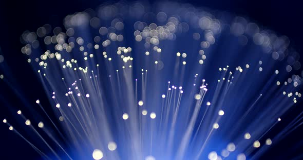 Fiber Optics Strands Light