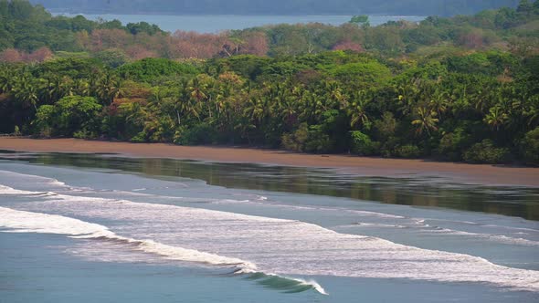 Uvita Sandy Beach, Costa Rica with Tropical Rainforest Coastal Scenery and Pacific Ocean Landscape o