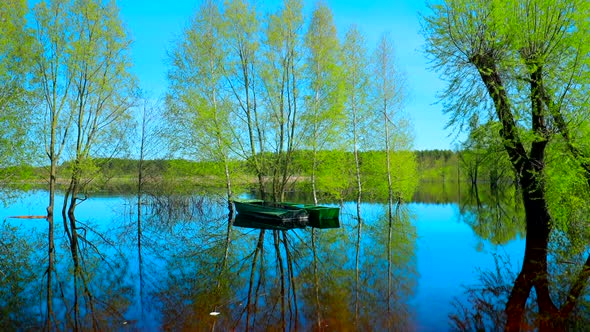 Boats Moored Near Trees That Standing In Water During Spring Flood Floodwaters