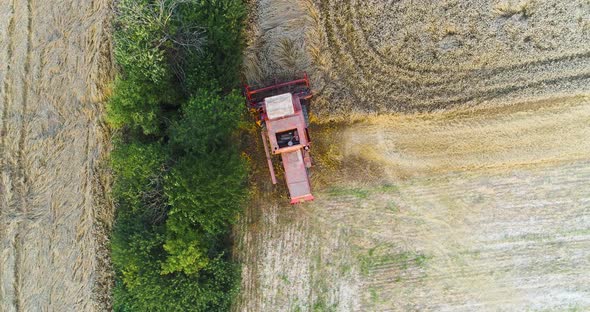 Combine Harvester Working in Agriculture Field