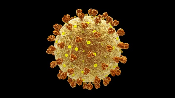 Coronavirus Covid 19 Cell