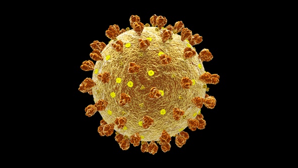 Coronavirus Covid 19 Cell alt