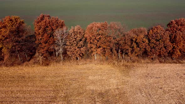 Aerial Drone View