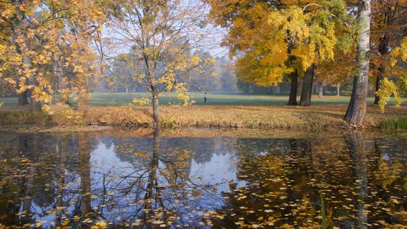 Multicolored Autumn Tree Tops Reflecting in the Water. Vertical Pan Opening Shot