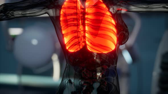 Human Lungs Radiology Exam in Laboratory