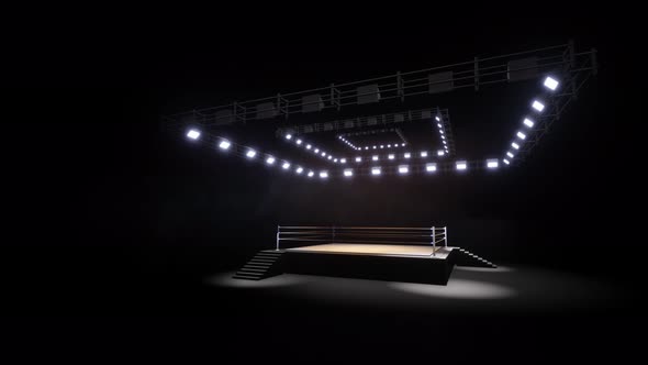 Sports Wrestling And Boxing. Sport 4K Professional Background Animation